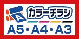 Ａ５　Ａ４　Ａ３チラシ　オーロラ印刷