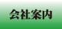 オーロラ印刷ホームペイジ小ロット会社案内